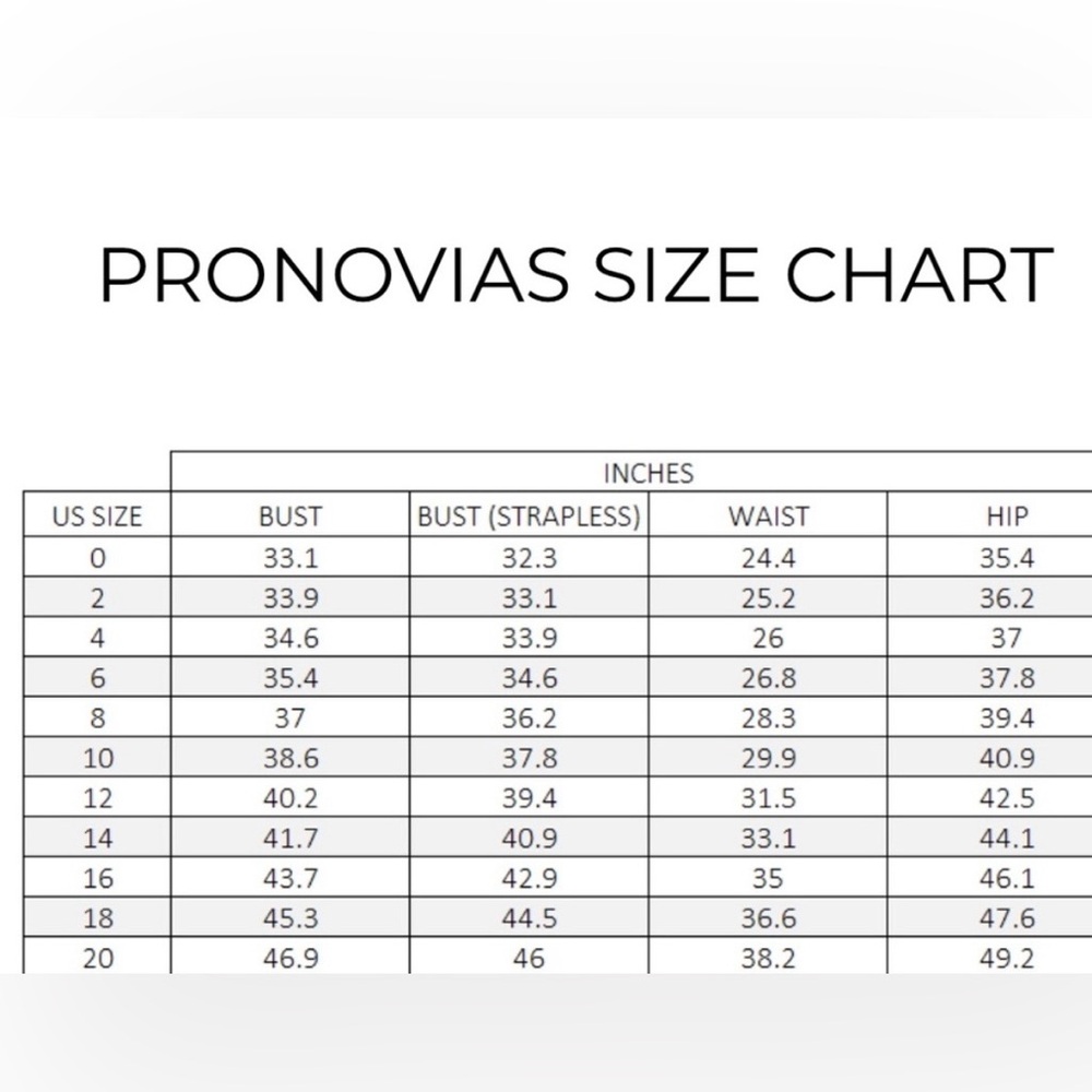 Pronovias Kaya Wedding Dress - Picture 12 of 12